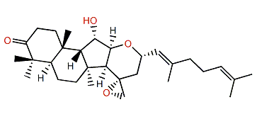 Rhabdaprovidine G